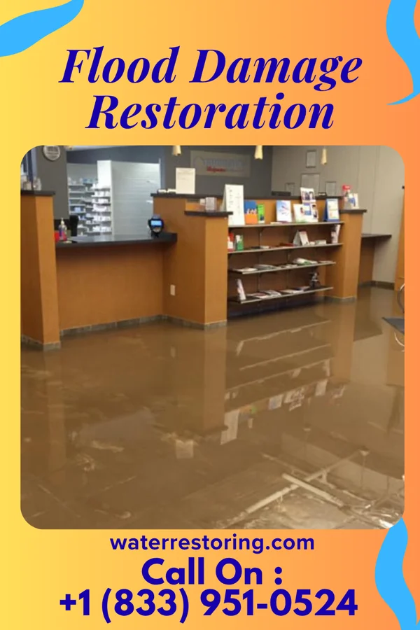 Flood Damage Restoration in Riverside, IL