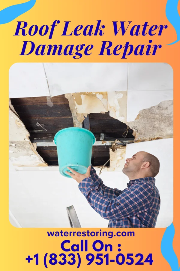 Roof Leak Water Damage Repair in Riverside, IL