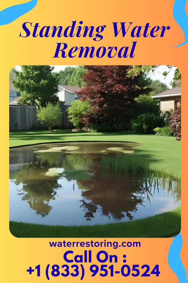 Standing Water Removal in Riverside, IL